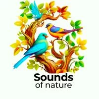 Звуки природы