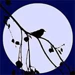 Живая природа